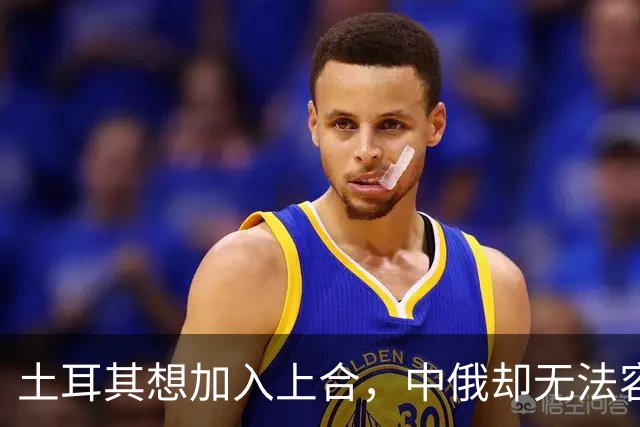 土耳其想加入上合，中俄却无法容忍，上合组织混进“第二个印度”
