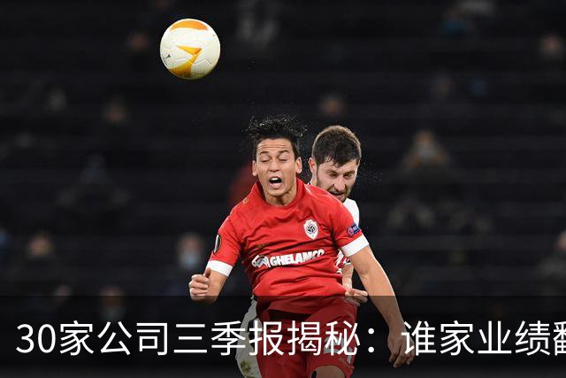 30家公司三季报揭秘：谁家业绩翻翻，谁又默默掉队？